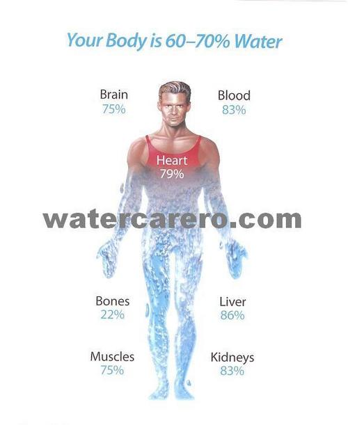 Water Care Alkaline Water India.Water Care Alkaline Water Filter India.Water Care Alkaline Water